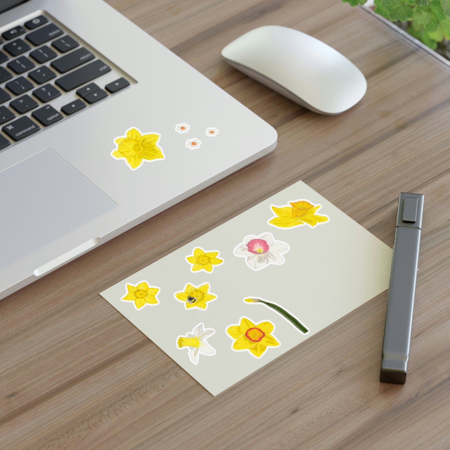 Little Daffodil Stickers